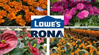 🌺LOWE’S GARDEN CENTER 2024 | WHAT’S NEW FLOWER VARIETIES Annuals, Perennials, Shrubs, Evergreen