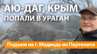 КРЫМ, ГОРА АЮ ДАГ. Подъем на Медведя из Партенита