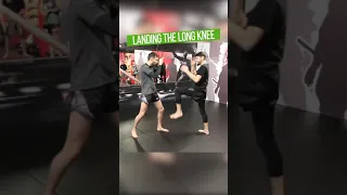 Teep to Long Knee in Muay Thai with Damien Alamos #shorts