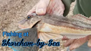 Sea Fishing UK | Catching Bass, Bream, Gurnard and Tons of Mackerel at Shoreham, West Sussex
