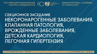 НЕКОРОНАРОГЕННЫЕ ЗАБОЛЕВАНИЯ, КЛАПАННАЯ ПАТОЛОГИЯ, ВРОЖДЕННЫЕ ЗАБОЛЕВАНИЯ, ДЕТСКАЯ КАРДИОЛОГИЯ, ЛГ