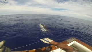 Marlin fishing in Azores - Alabote 2014