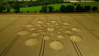 Crop Circle of 2023 in 4K | Hatherden Lane - Nr Andover | Hampshire UK | 2023-07-25