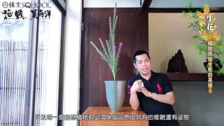 【花戰 x 桃李SQHOOL x 吳尚洋】特別企劃 / 池坊生花演示 & 介紹