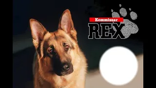 Kommissar Rex - 01 Endstation Wien