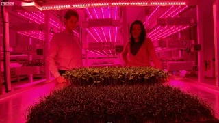 Growing Plants w/ LED Technology | Bang Goes The Theory | Earth Science