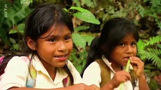 Chemins d'école, chemins de tous les dangers   Bolivie Arte 2020 08 22 17