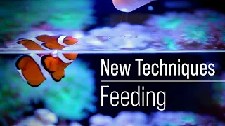 A Fish First Approach to Optimizing Fish Food While Optimizing Phosphate and Nitrate Independently.