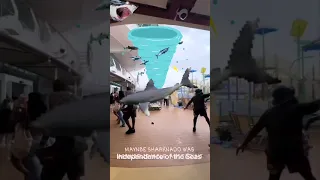 sharknado in real life