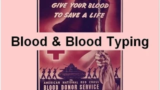 Blood & ABO Blood Typing (updated)