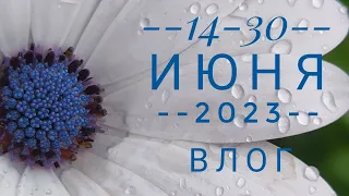 14/2023 14-30 июня. Влог: вышивка, мамины оформленные работы, минипутешествие