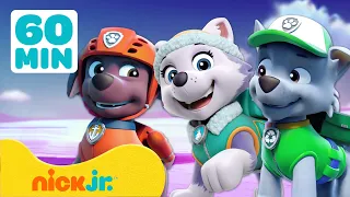 Paw Patrol La Squadra dei Cuccioli | Salvataggio di animali selvatici! | 60 minuti | Nick Jr. Italia