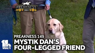 Meet Mystik Dan's four-legged companion