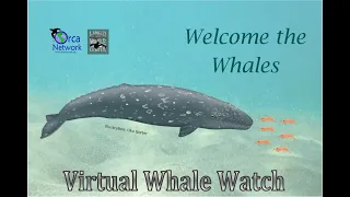 Welcome the Whales Virtual Whale Watch