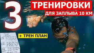 3 Тренировки| Как плавать кролем 10 км| ТРЕНИРОВОЧНЫЙ ПЛАН