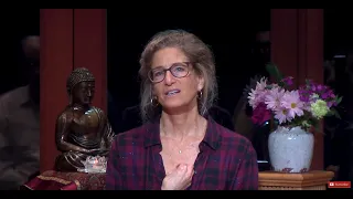 Tara Brach leads a Meditation on Bringing RAIN to the Wanting Mind