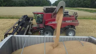 2023 Kerry Family Farm Wheat Harvest