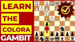 Learn This Amazing Colorado Gambit in 10 Minutes 💡