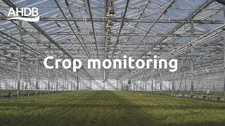 How to crop monitor