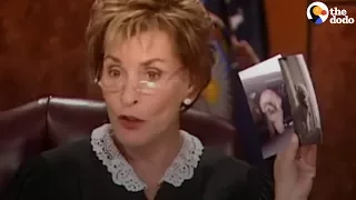 Judge Judy Lets Dog Decide Who To Go Home With  | The Dodo