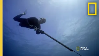 Gordon Goes Spearfishing for Snapper | Gordon Ramsay: Uncharted