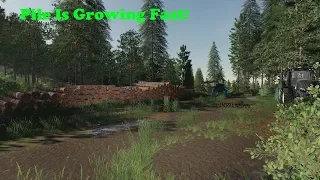 FS19 | Forestry On Holmåkra | A Bigger Machine | Timelapse | S02 EP7