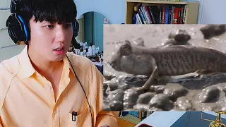 5 Mysterious Creatures Caught On Camera l Korean Reaction l Top 5 STRANGE Creatures