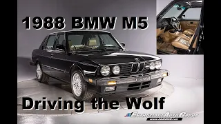 Driving The Wolf: 1988 BMW E28 M5 – New Arrival