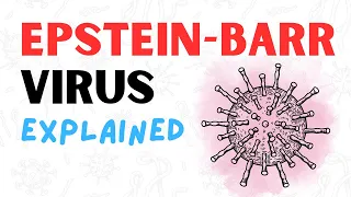 What is the Epstein-Barr Virus? -  2 Minute RAPID REVIEW