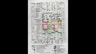 Копия видео "Консультация по  ДП "Организации работы участковой станции"