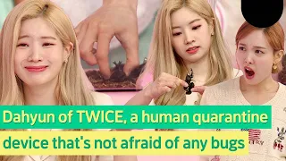 Tell TWICE who catches bugs better than Dahyun to come out! #TWICE