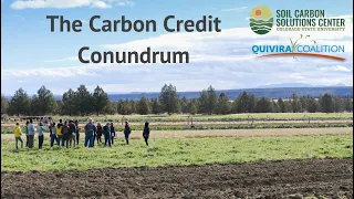 #4 - Unpacking the Carbon Credit Conundrum - Emerging opportunities in carbon markets and beyond