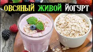 Вкуснее чем в магазине. Овсяный йогурт 3 рецепта