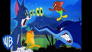 Tom & Jerry in italiano | Creature Acquatiche 🐠🐳 | WB Kids