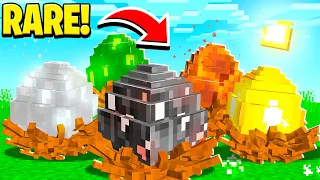 COLLECTING EVERY *RARE* DRAGON EGG In MINECRAFT!