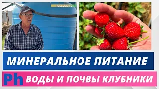 Ph воды и минеральное питание! #ph  #клубника #минеральноепитание