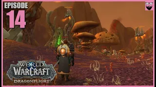 Let's Play World of Warcraft Dragonflight In 2024 - Fresh Start Paladin Part 14 - Chill Gameplay