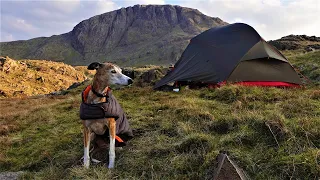 Wild Camping Adventure with my Dog | Peace and Solitude | Lake District