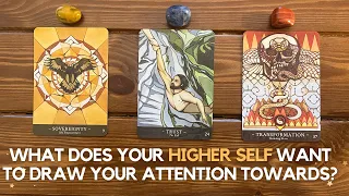 What Does Your Higher Self Want To Draw Your Attention Towards? ✨📖 💫🥹✨ | Timeless Reading