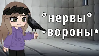 °Клип Нервы~вороны° gasha nox