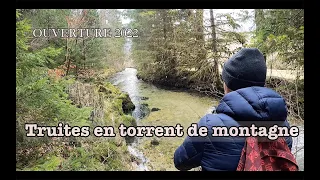 OUVERTURE dans un torrent du Jura : des TRUITES à la chaîne !