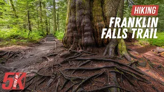 Easy Hike on Franklin Falls Trail - 5K Forest Walk for Relaxation or Indoor Workout