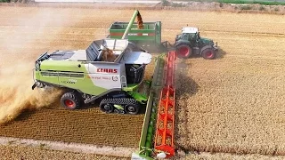 Mähdrescher CLAAS LEXION 780 Terra Trac Fendt Weizenernte biggest combine harvester wheat harvest