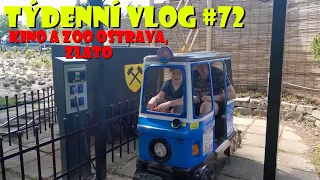 Týdenní Vlog #72 #weekvlog #zoo #Ostrava  (Kino a Zoo Ostrava, hledáme zlato) Korin