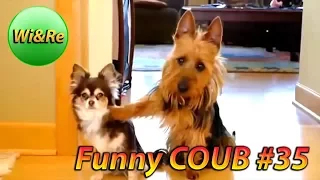 Funny COUB Style #35 ⁄⁄Лучшее в Coub  ПРИКОЛЫ Best Coub