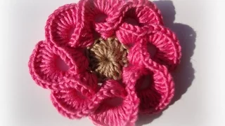 3D crochet flowers multi petals  - 1