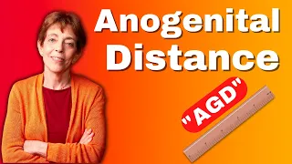 What is "AGD" or Anogenital Distance? | Dr. Shanna Swan