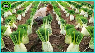 The Most Modern Agriculture Machines That Are At Another Level, How To Harvest Leeks In Farm ▶1
