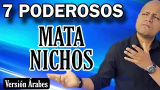 7 MATA NICHOS PODEROSOS