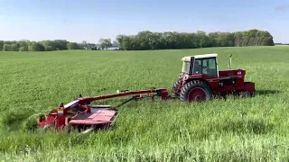 IH 1086 w/ NH 210 cutting hay